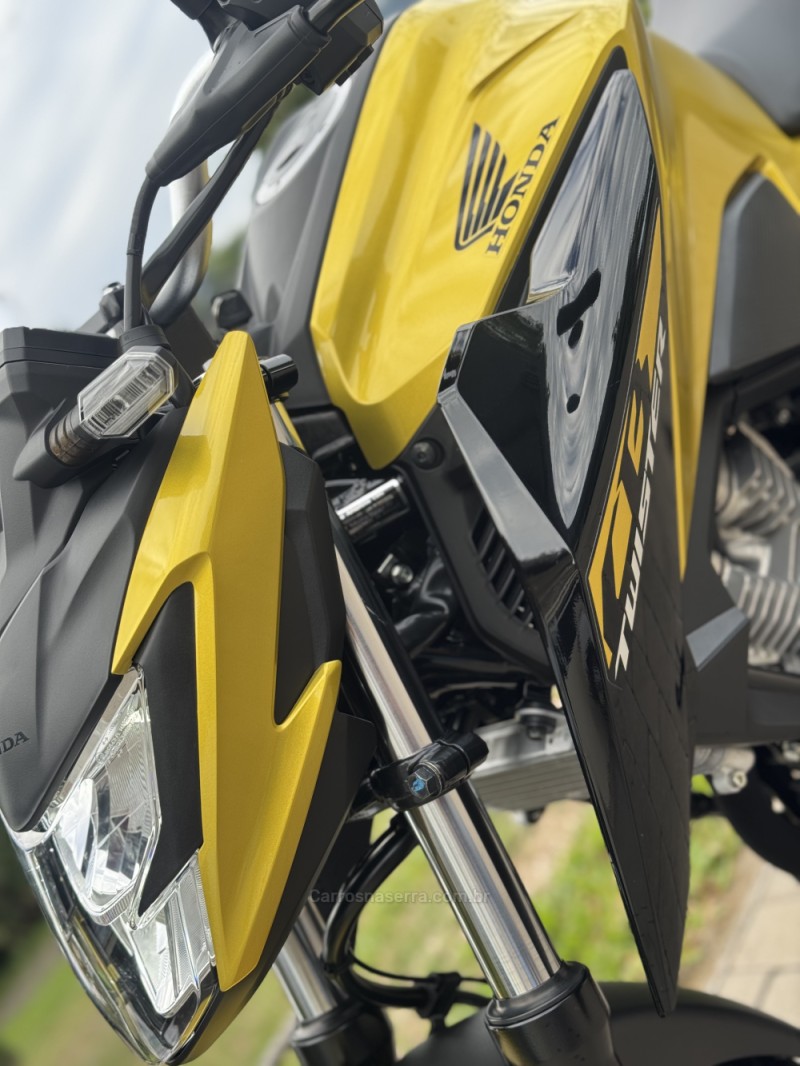 CB 300F TWISTER ABS - 2023 - ENCANTADO