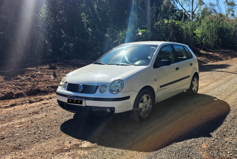 polo 1.6 mi 8v e flex 4p manual 2006 ivoti