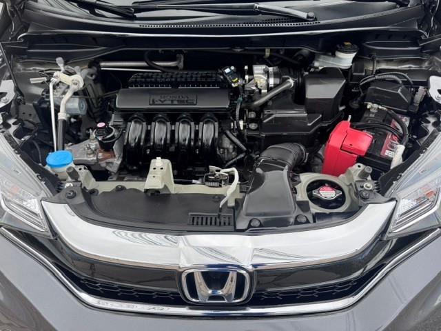 FIT 1.5 EXL 16V FLEX 4P AUTOMÁTICO - 2019 - CAXIAS DO SUL