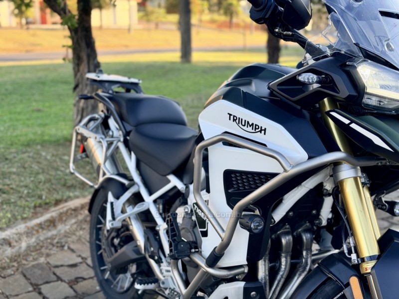 TIGER 1200 RA EX  - 2024 - CASCA