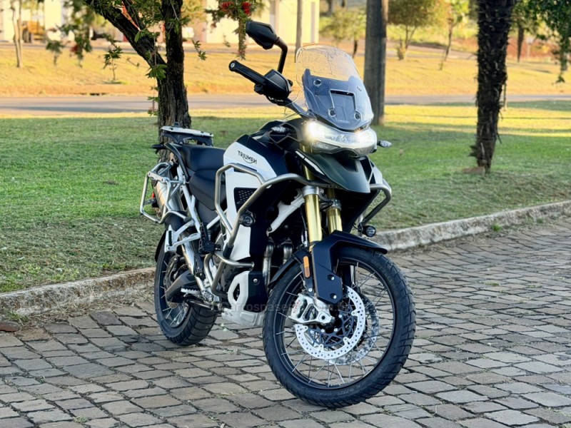 TIGER 1200 RA EX  - 2024 - CASCA