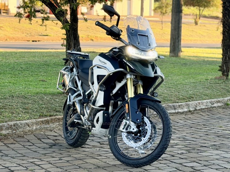 TIGER 1200 RA EX  - 2024 - CASCA