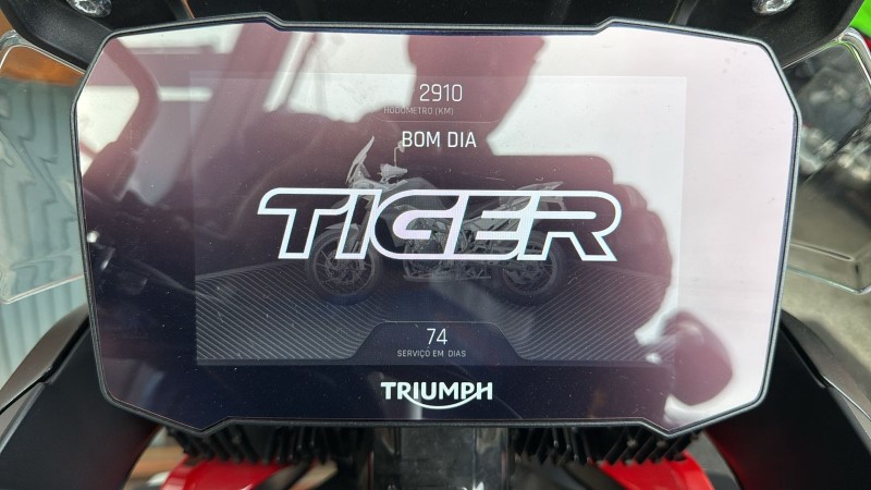 TIGER 900 GT PRO  - 2024 - CAXIAS DO SUL