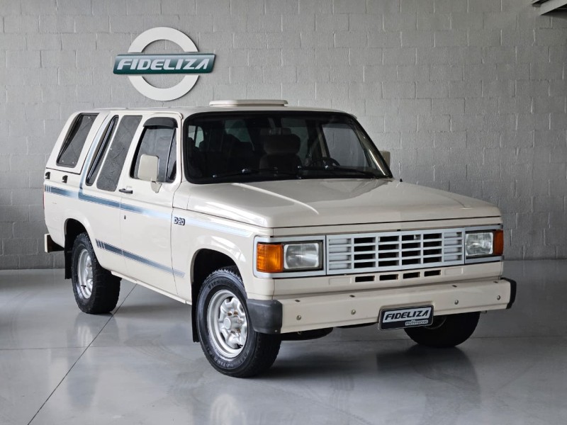 D20 4.0 CUSTOM DE LUXE CD 8V DIESEL 2P MANUAL - 1989 - FARROUPILHA