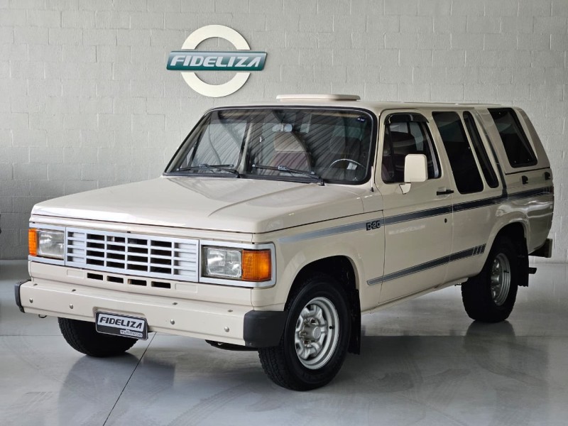 D20 4.0 CUSTOM DE LUXE CD 8V DIESEL 2P MANUAL - 1989 - FARROUPILHA