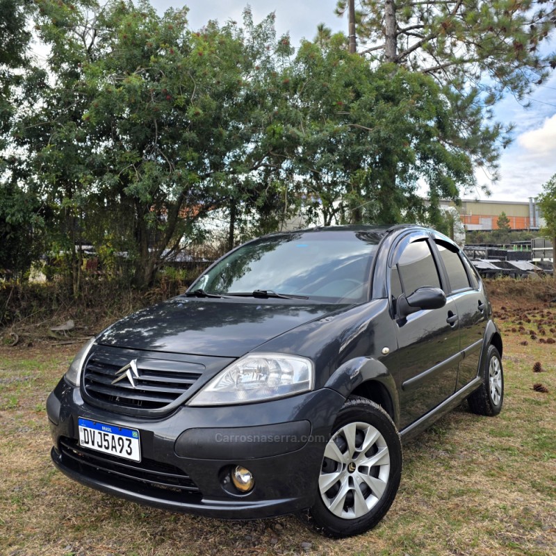 c3 1.4 i glx 8v flex 4p manual 2007 caxias do sul