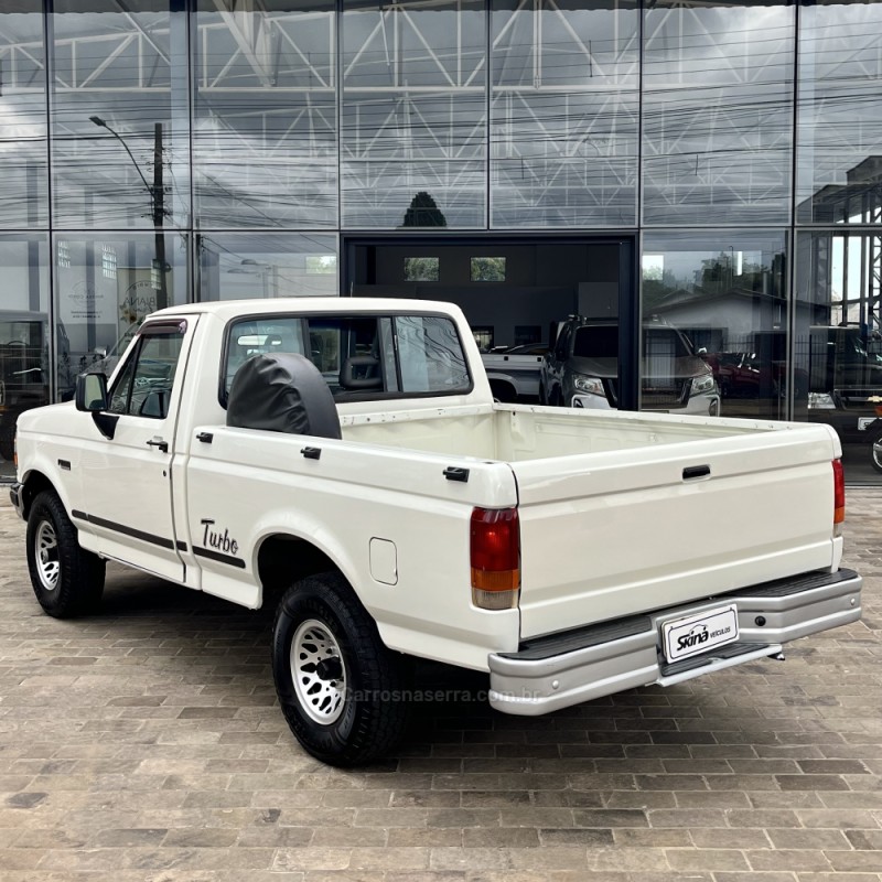 F-1000 4.3 XL 4X4 CS TURBO DIESEL 2P MANUAL - 1997 - VACARIA