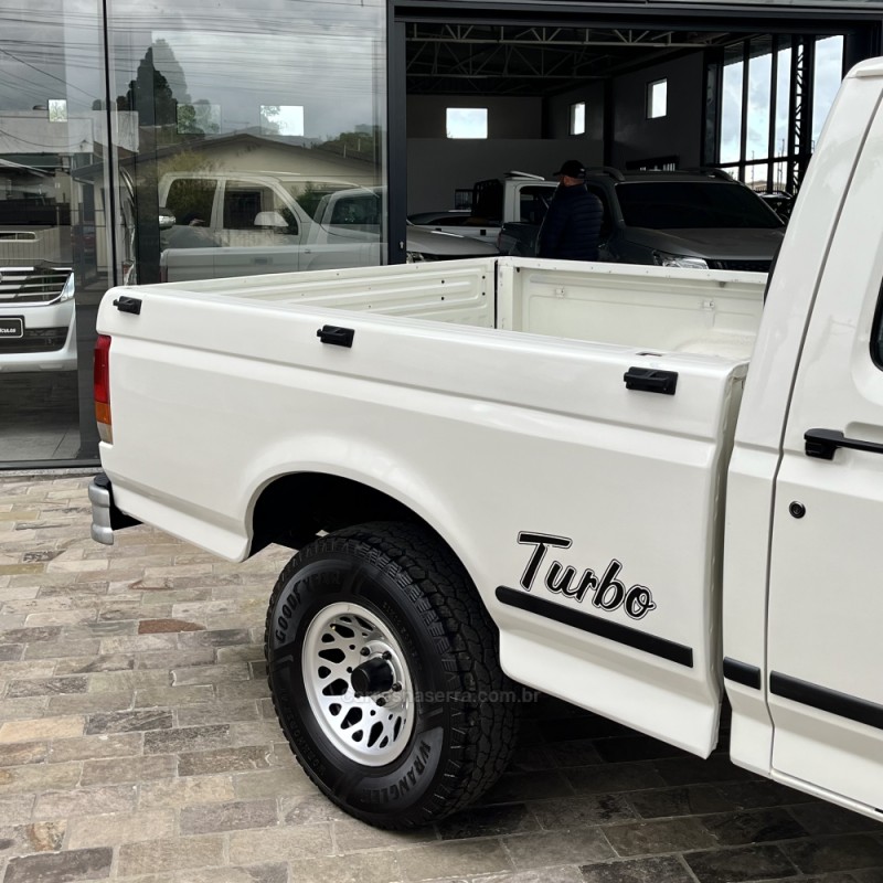 F-1000 4.3 XL 4X4 CS TURBO DIESEL 2P MANUAL - 1997 - VACARIA