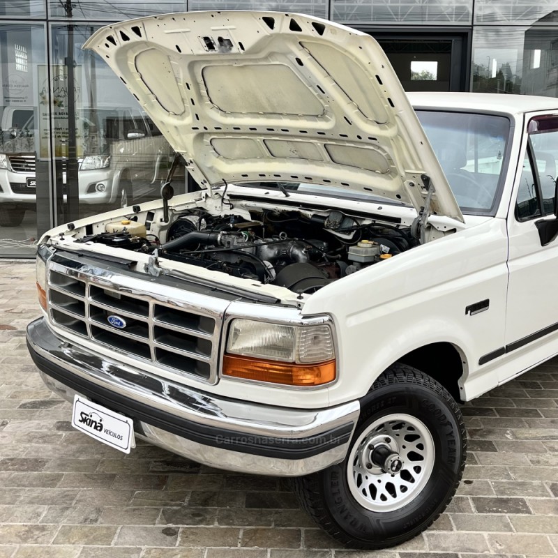 F-1000 4.3 XL 4X4 CS TURBO DIESEL 2P MANUAL - 1997 - VACARIA