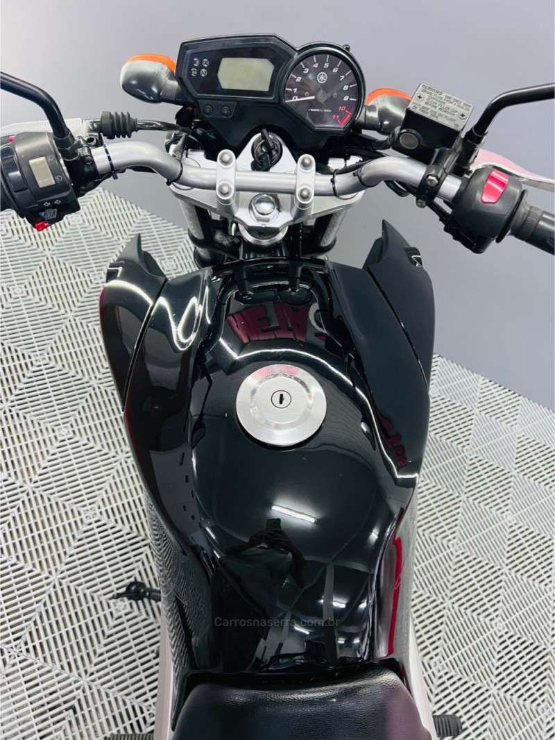 FAZER YS 250 - 2011 - CAMPO BOM