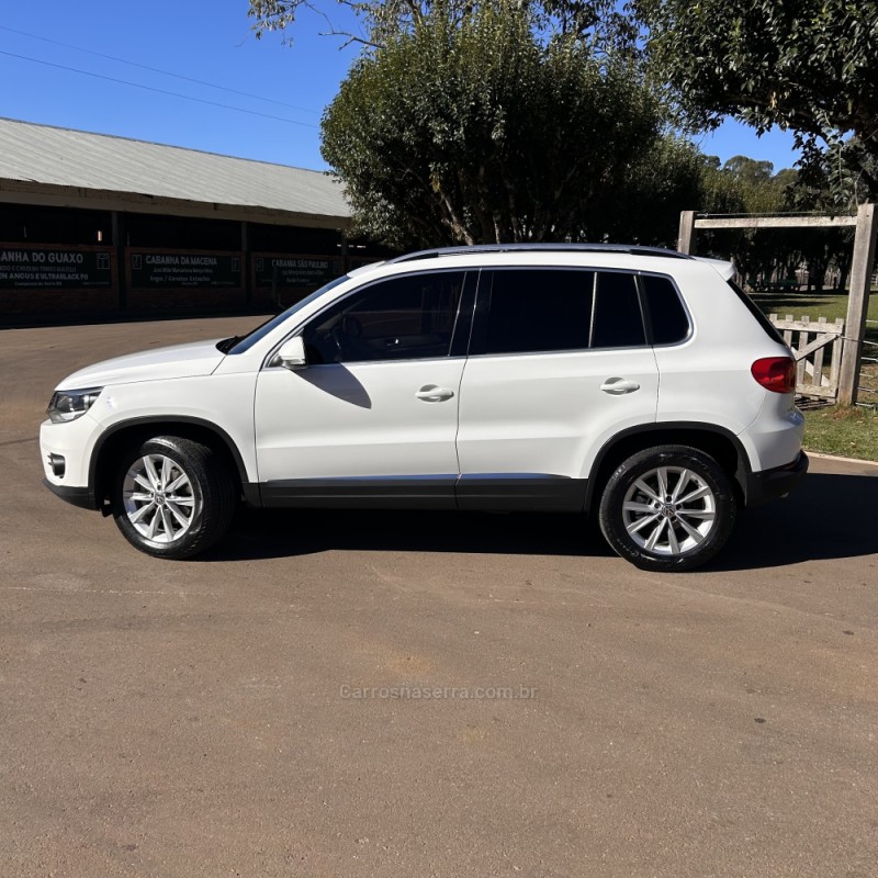 TIGUAN 2.0 TSI 16V TURBO GASOLINA 4P TIPTRONIC - 2013 - VACARIA