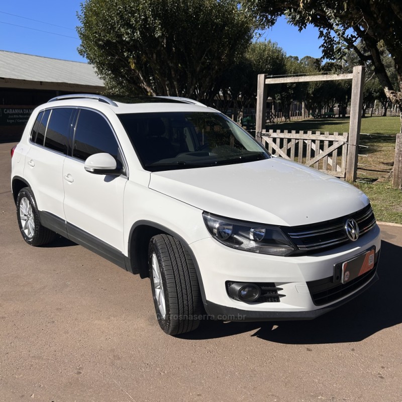TIGUAN 2.0 TSI 16V TURBO GASOLINA 4P TIPTRONIC - 2013 - VACARIA