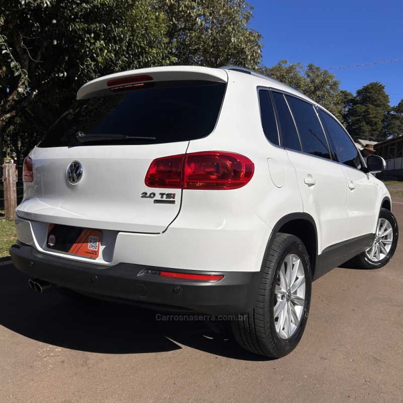 TIGUAN 2.0 TSI 16V TURBO GASOLINA 4P TIPTRONIC - 2013 - VACARIA