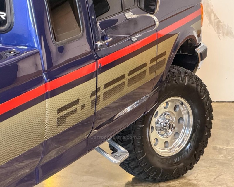 F-1000 3.9 SUPER CE 8V DIESEL 2P MANUAL - 1994 - GARIBALDI