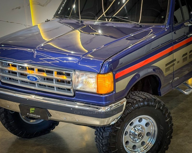 F-1000 3.9 SUPER CE 8V DIESEL 2P MANUAL - 1994 - GARIBALDI