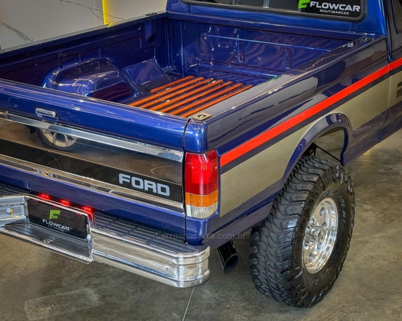 F-1000 3.9 SUPER CE 8V DIESEL 2P MANUAL - 1994 - GARIBALDI