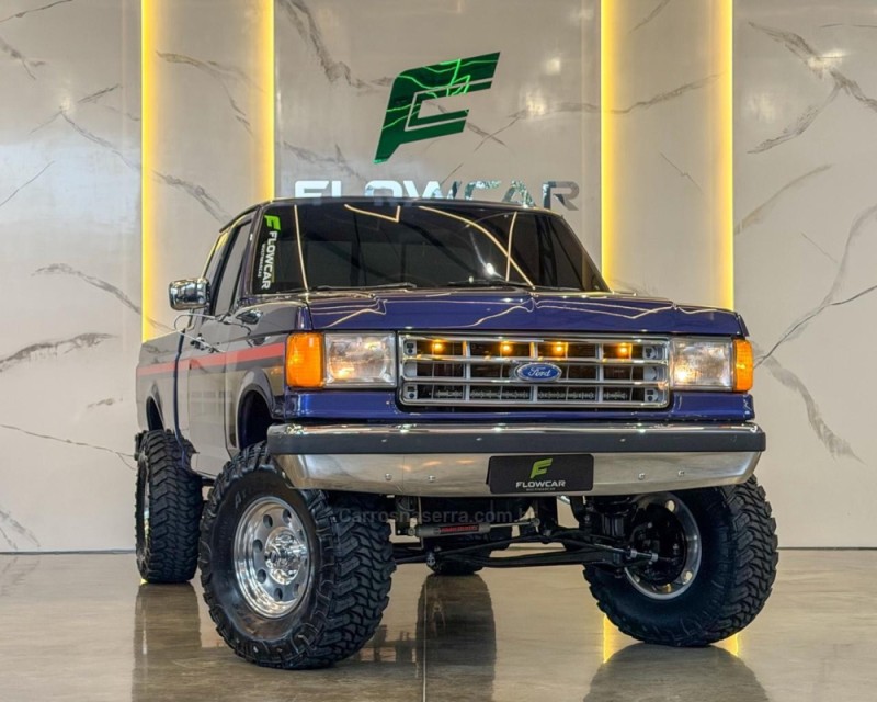 F-1000 3.9 SUPER CE 8V DIESEL 2P MANUAL - 1994 - GARIBALDI