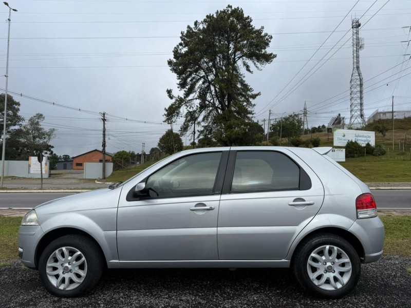 PALIO 1.4 MPI ELX 8V FLEX 4P MANUAL - 2010 - FARROUPILHA