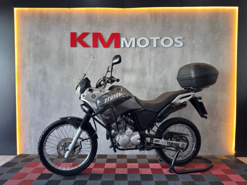XTZ 250 TÉNÉRÉ - 2017 - PORTãO