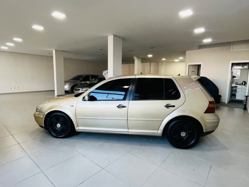 GOLF 1.6 MI 8V FLEX 4P MANUAL - 2002 - FLORES DA CUNHA