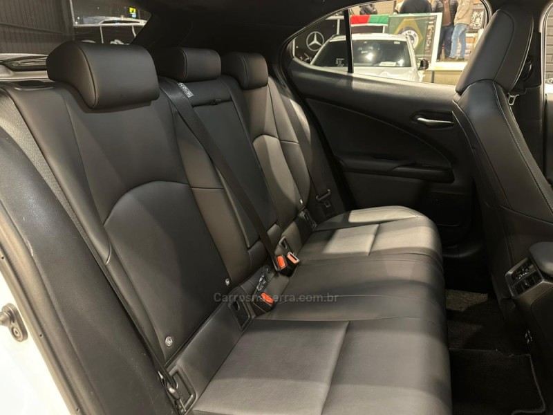UX 250H 2.0 16V DYNAMIC HÍBRIDO 4P AUTOMÁTICO - 2019 - CAXIAS DO SUL