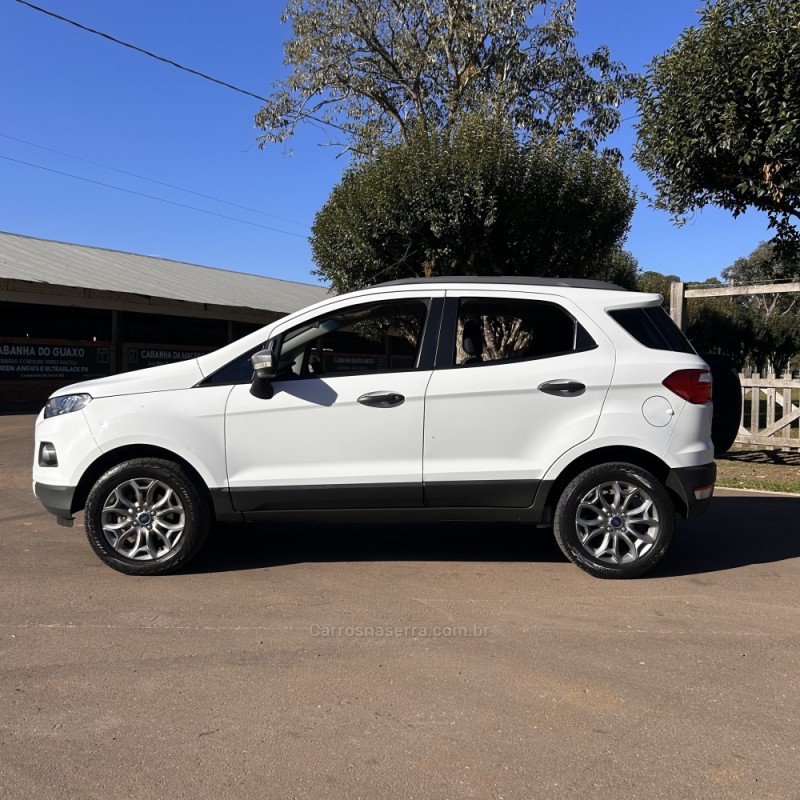 ECOSPORT 1.6 FREESTYLE 16V FLEX 4P AUTOMÁTICO - 2016 - VACARIA