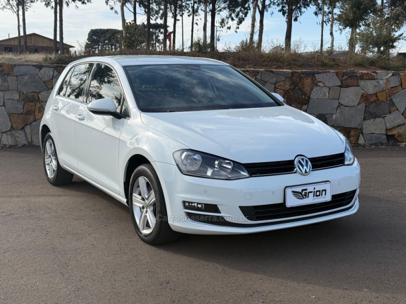 GOLF 1.4 TSI HIGHLINE 16V TOTAL FLEX 4P TIPTRONIC - 2014 - VACARIA