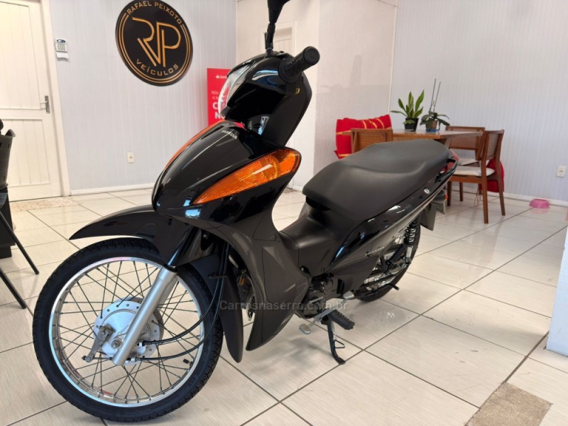 biz 100 es 2014 canela