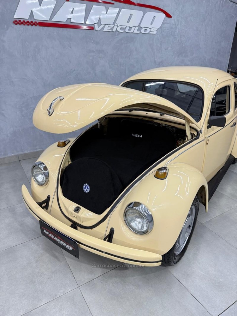FUSCA 1.3 L 8V GASOLINA 2P MANUAL - 1980 - SAPIRANGA