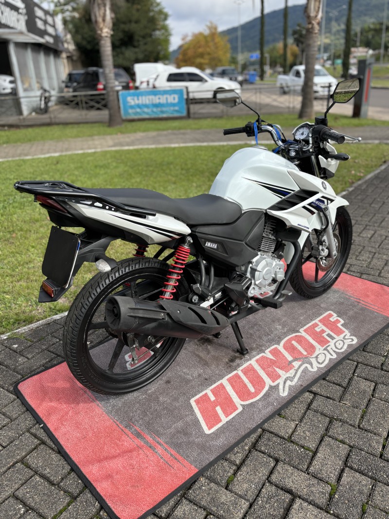 FAZER YS 150 SED - 2015 - FELIZ