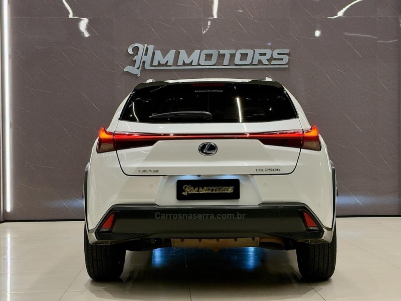 UX 250H 2.0 16V DYNAMIC HÍBRIDO 4P AUTOMÁTICO - 2019 - CAXIAS DO SUL