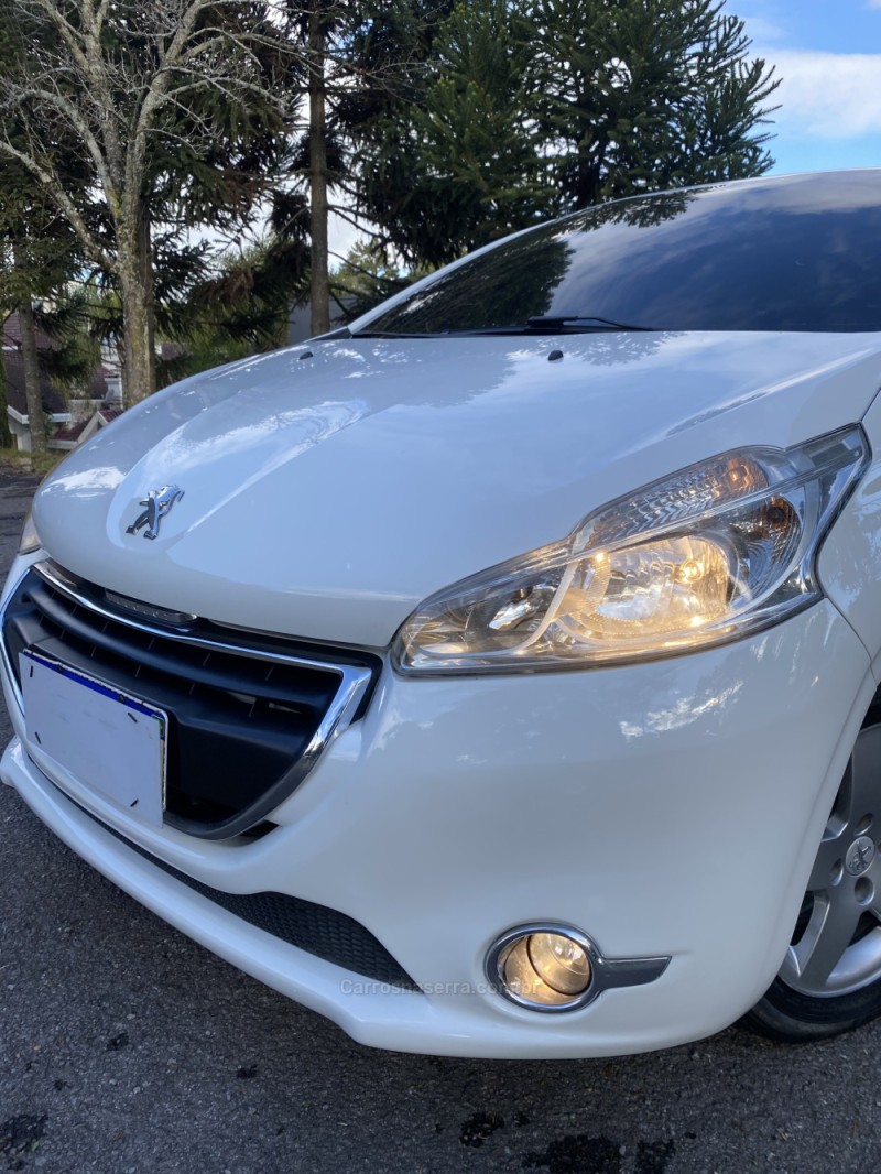 208 1.5 ACTIVE 8V FLEX 4P MANUAL - 2014 - FARROUPILHA