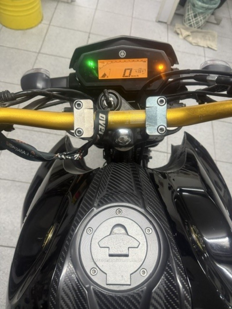 FAZER BLACK EDITION - 2020 - GARIBALDI