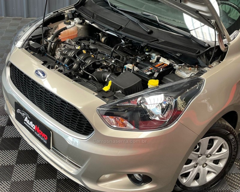 KA 1.5 SE 12V FLEX 4P MANUAL - 2017 - VACARIA