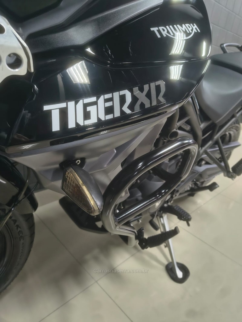 TIGER 800 XR  - 2017 - CAXIAS DO SUL