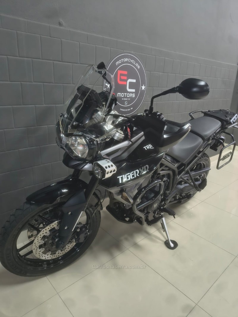 TIGER 800 XR  - 2017 - CAXIAS DO SUL