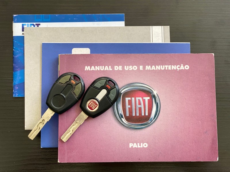 PALIO 1.4 MPI ELX 8V FLEX 4P MANUAL - 2010 - CAXIAS DO SUL