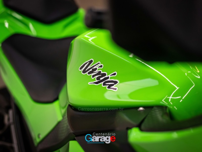 NINJA 300 ABS LIMITED EDITION - 2013 - CAXIAS DO SUL