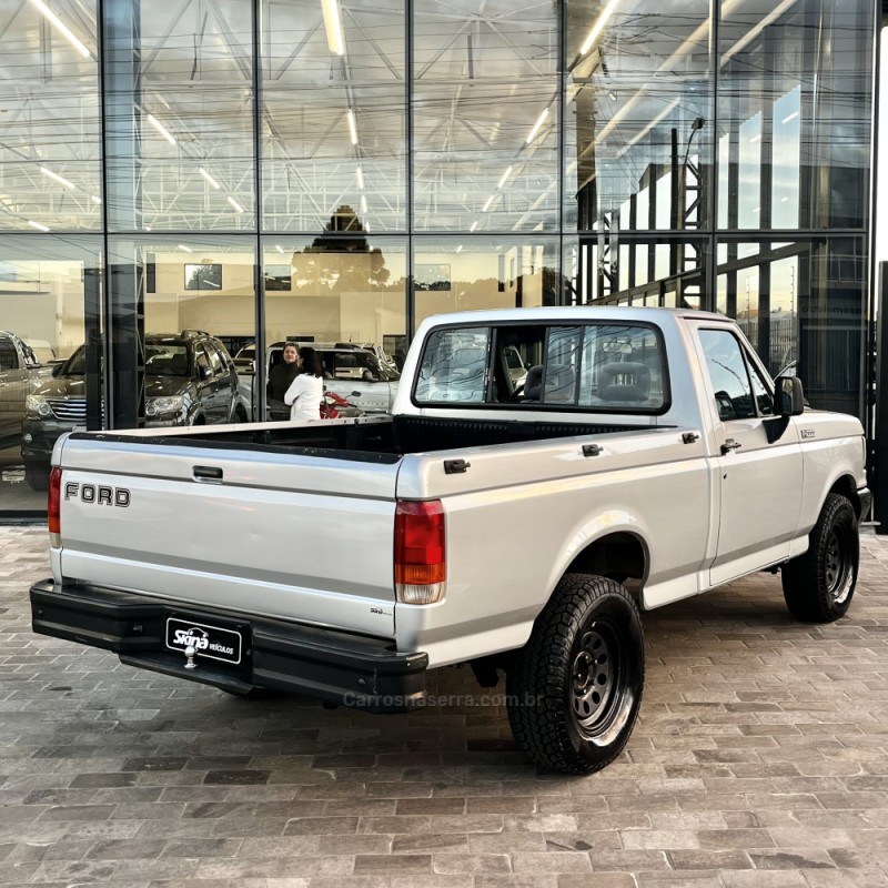 F-1000 3.9 SUPER SÉRIE CS 8V DIESEL 2P MANUAL - 1995 - VACARIA