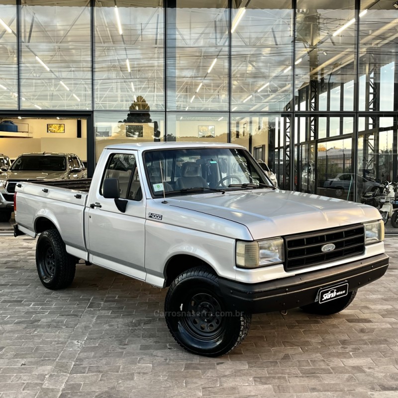 F-1000 3.9 SUPER SÉRIE CS 8V DIESEL 2P MANUAL - 1995 - VACARIA