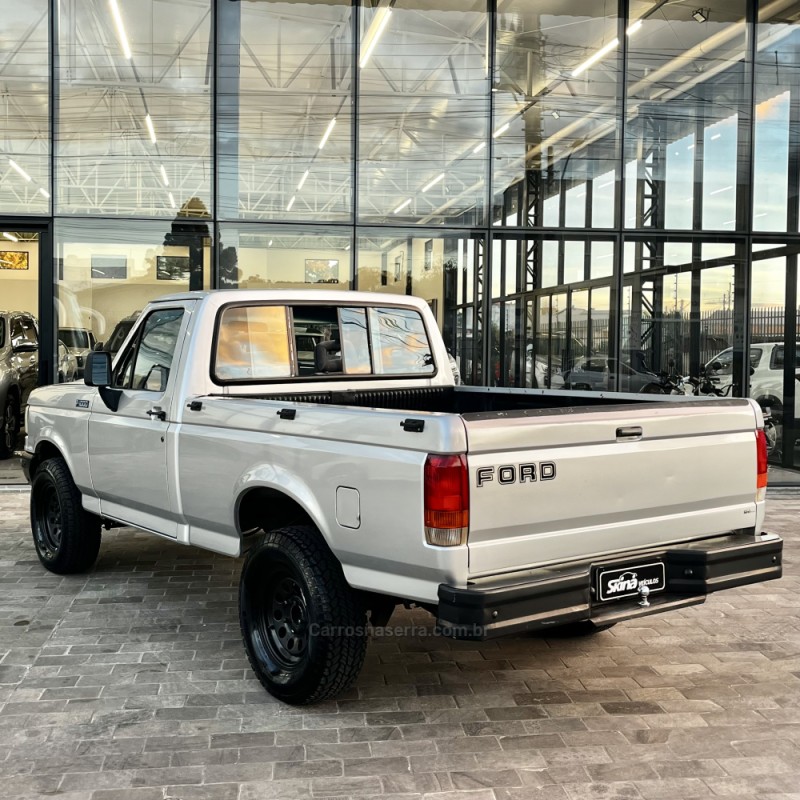 F-1000 3.9 SUPER SÉRIE CS 8V DIESEL 2P MANUAL - 1995 - VACARIA