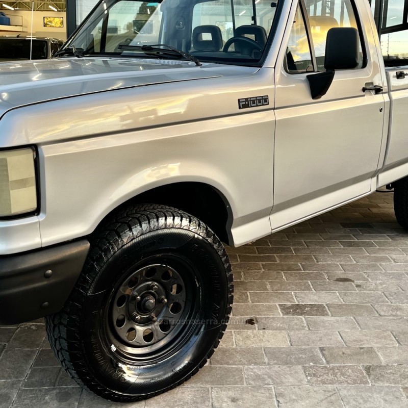 F-1000 3.9 SUPER SÉRIE CS 8V DIESEL 2P MANUAL - 1995 - VACARIA