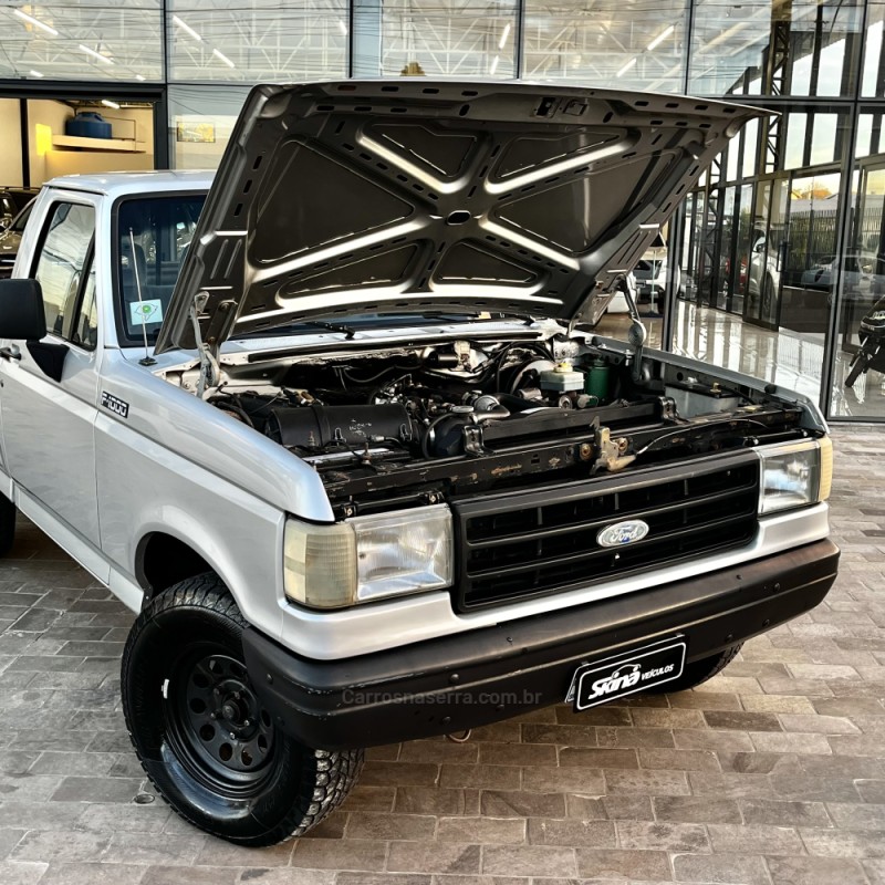 F-1000 3.9 SUPER SÉRIE CS 8V DIESEL 2P MANUAL - 1995 - VACARIA