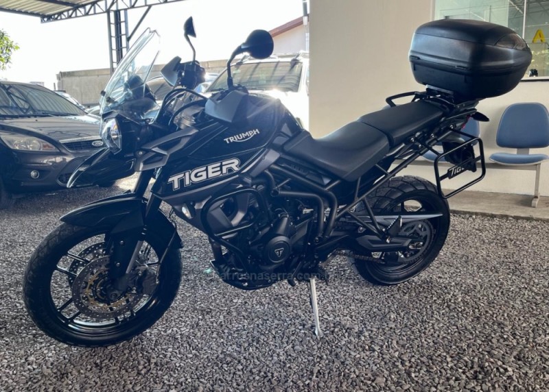 TIGER 800 XR  - 2016 - CAXIAS DO SUL