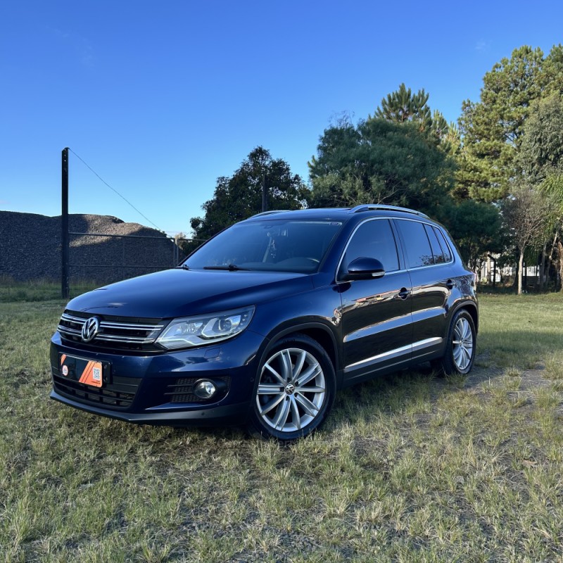 tiguan 2.0 tsi 16v turbo gasolina 4p tiptronic 2014 vacaria