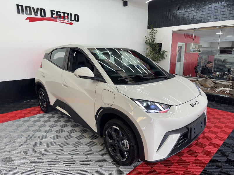 DOLPHIN MINI ELÉTRICO 4P AUTOMÁTICO - 2027 - CAXIAS DO SUL