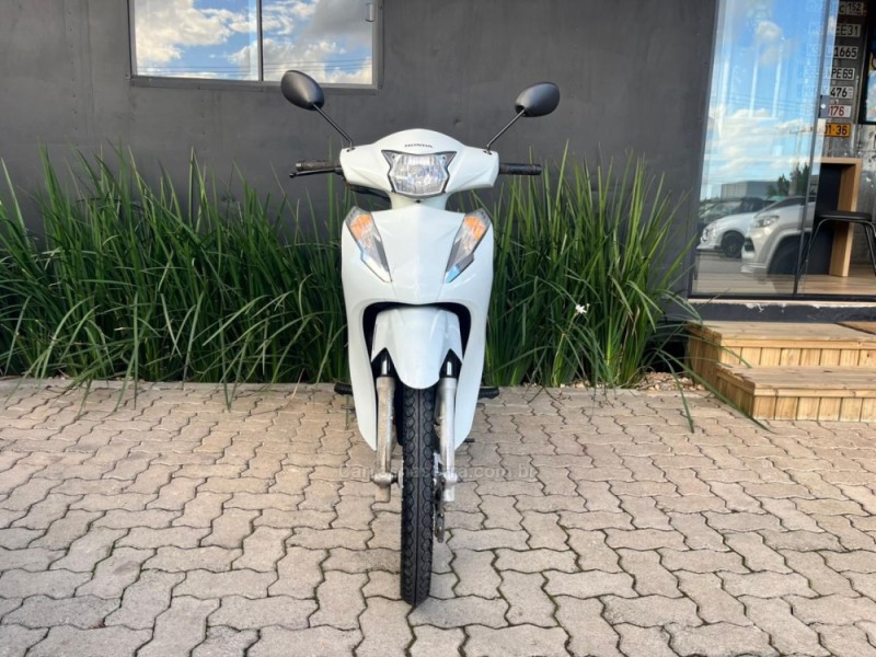 BIZ 110I  - 2020 - TORRES