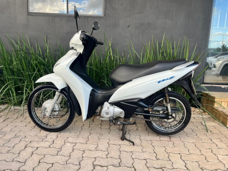 BIZ 110I  - 2020 - TORRES