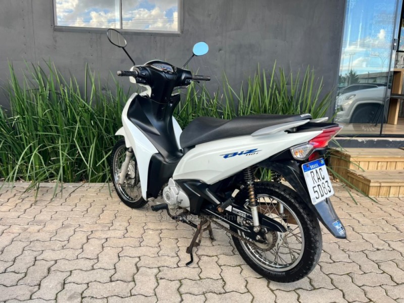 BIZ 110I  - 2020 - TORRES