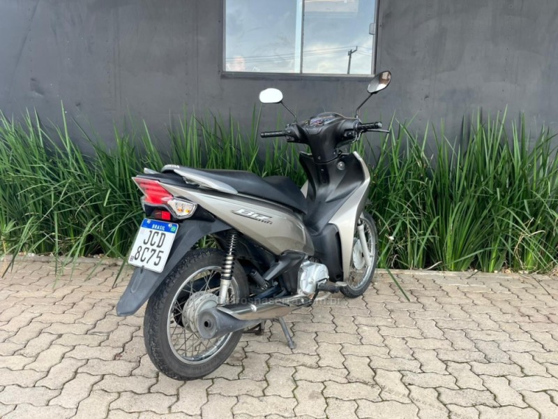 BIZ 110I  - 2023 - TORRES